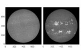 100 Years of Indian Archival Data Collected by Kodaikanal Solar Observatory Solves Pieces of the Solar Cycle Puzzle.